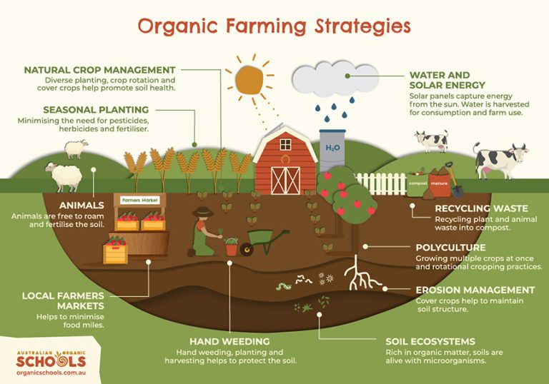 Organic Earth Week: Starting with soil - Australian Organic