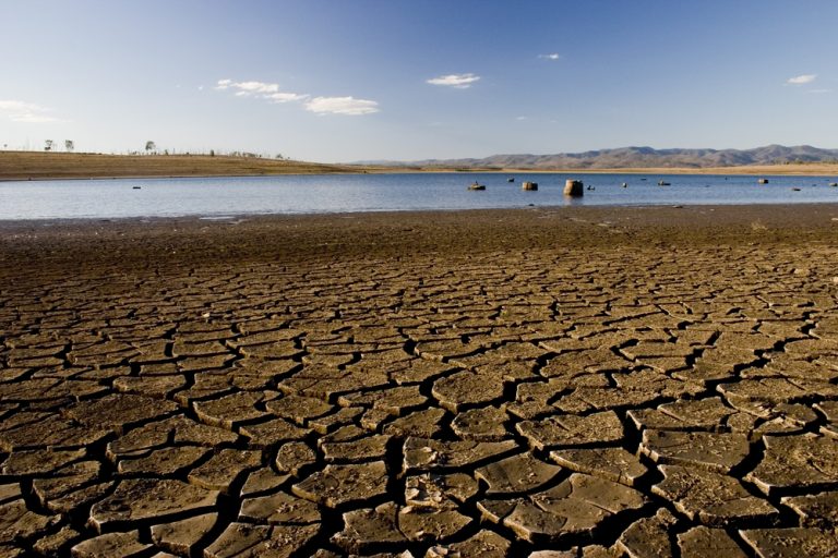 Drought resilience innovation hubs launch across Australia