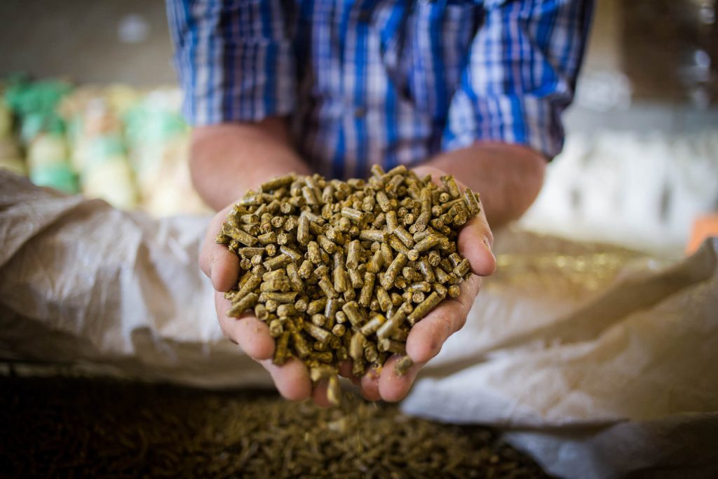 Organic Animal Feed Australian Organic